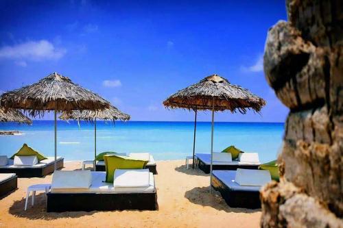 sea-front-pics-10200x800